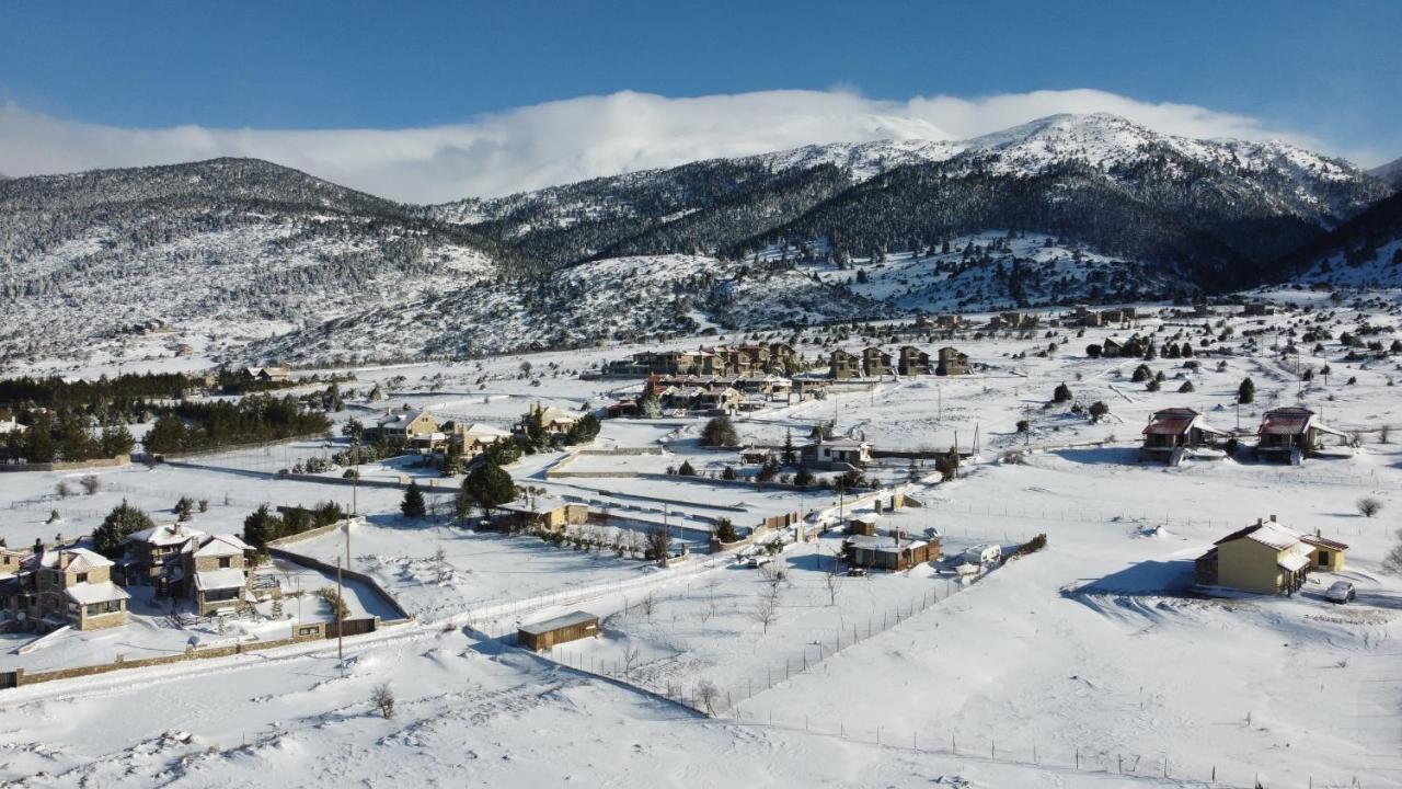 Chalet Renata 2 Livadi Arachovas Kalívia Kültér fotó